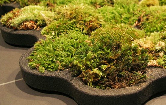 Moss bath mat